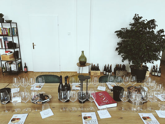 Premium Wine and Cheese Tasting Experience in Vienna