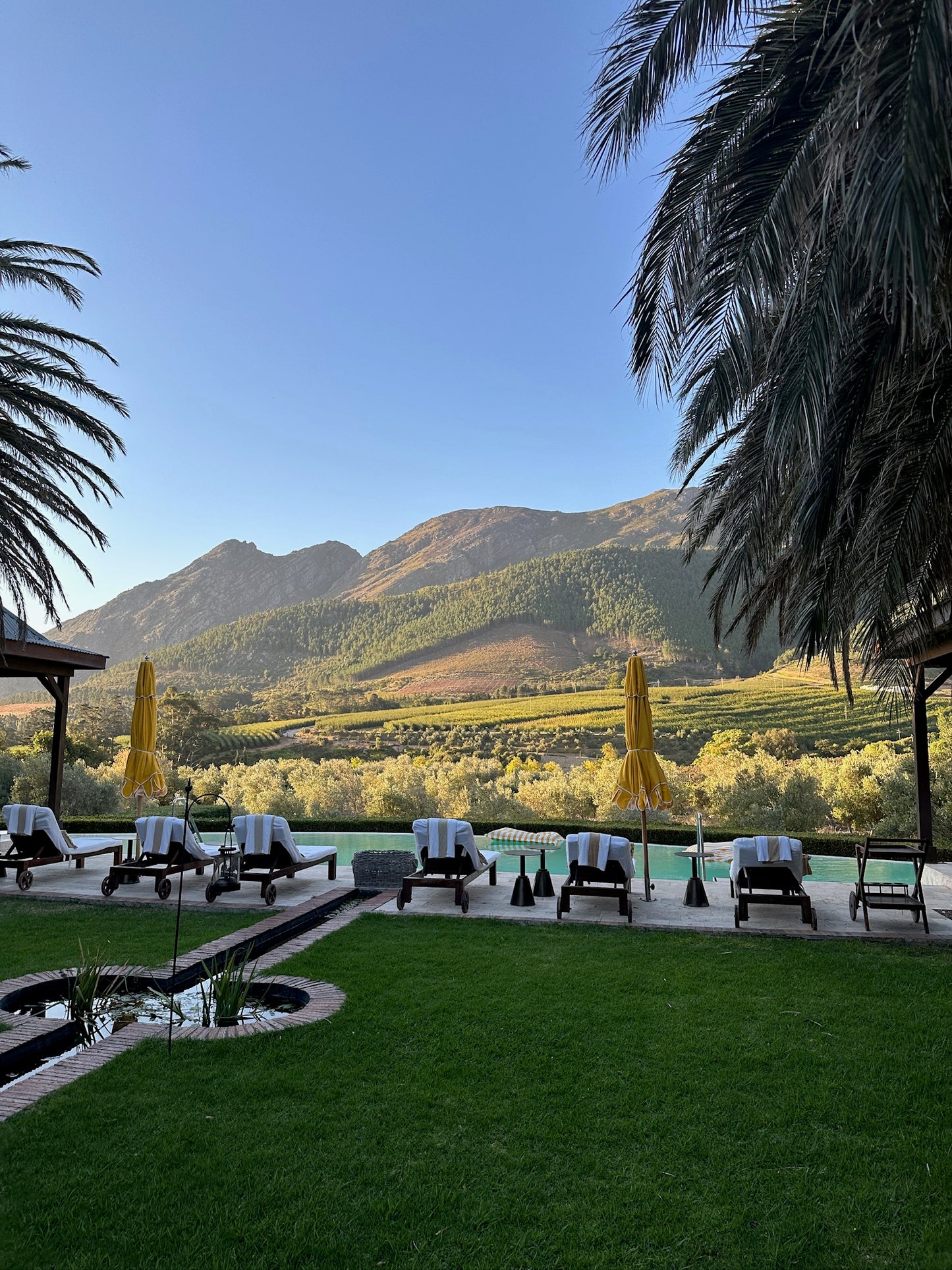 Cape Town: Wine Tasting with Pasta Pairing + Pick-Up
