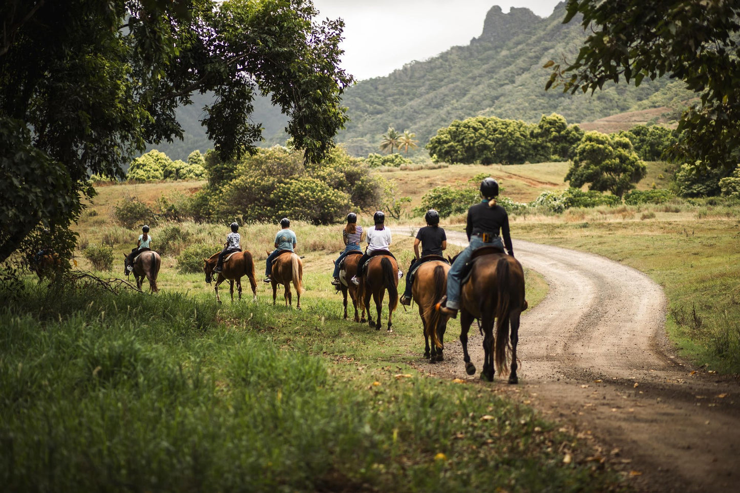 Hawaiian Horseback Journey
