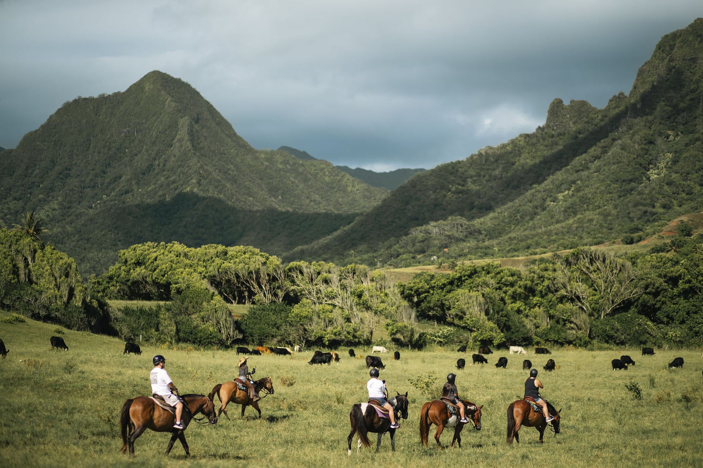 Hawaiian Horseback Journey