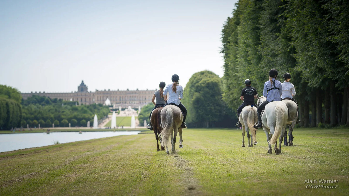 Brockenhurst: Private Horseback Ride & Feast + Pick-Up Available