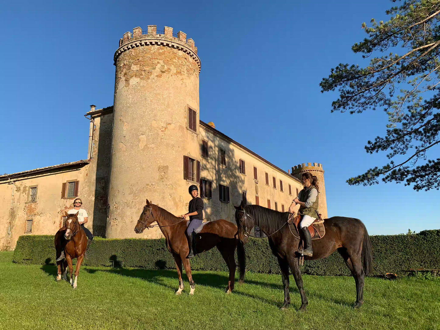 Brockenhurst: Private Horseback Ride & Feast + Pick-Up Available