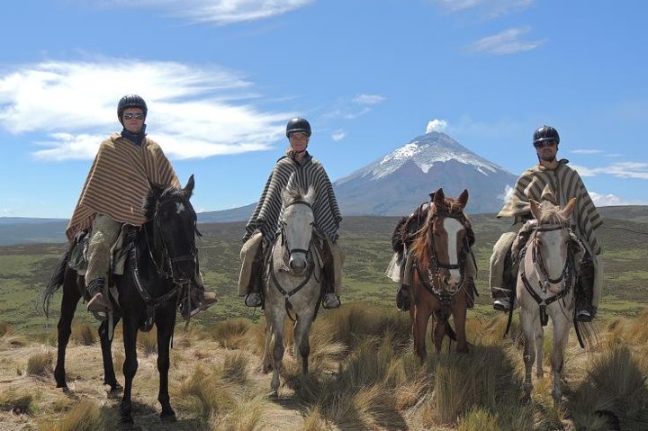 Quito: Highland Horseback Ride + Hot Drinks + Optional Lunch + Hotel Pick-up