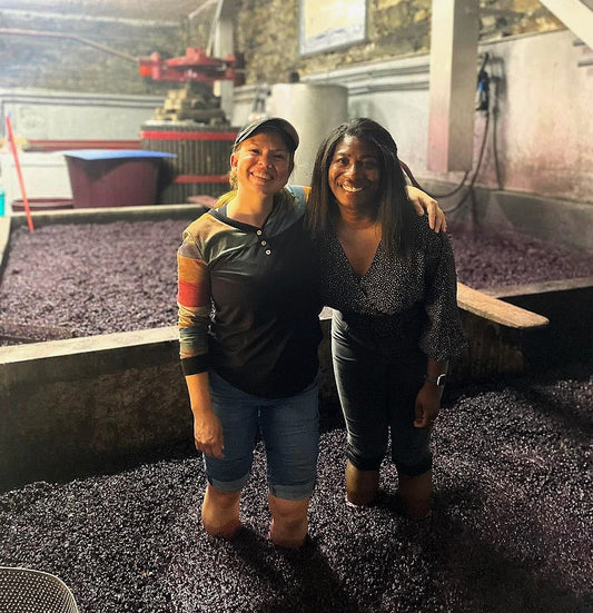 Premium Private Experience in Douro Valley near Porto