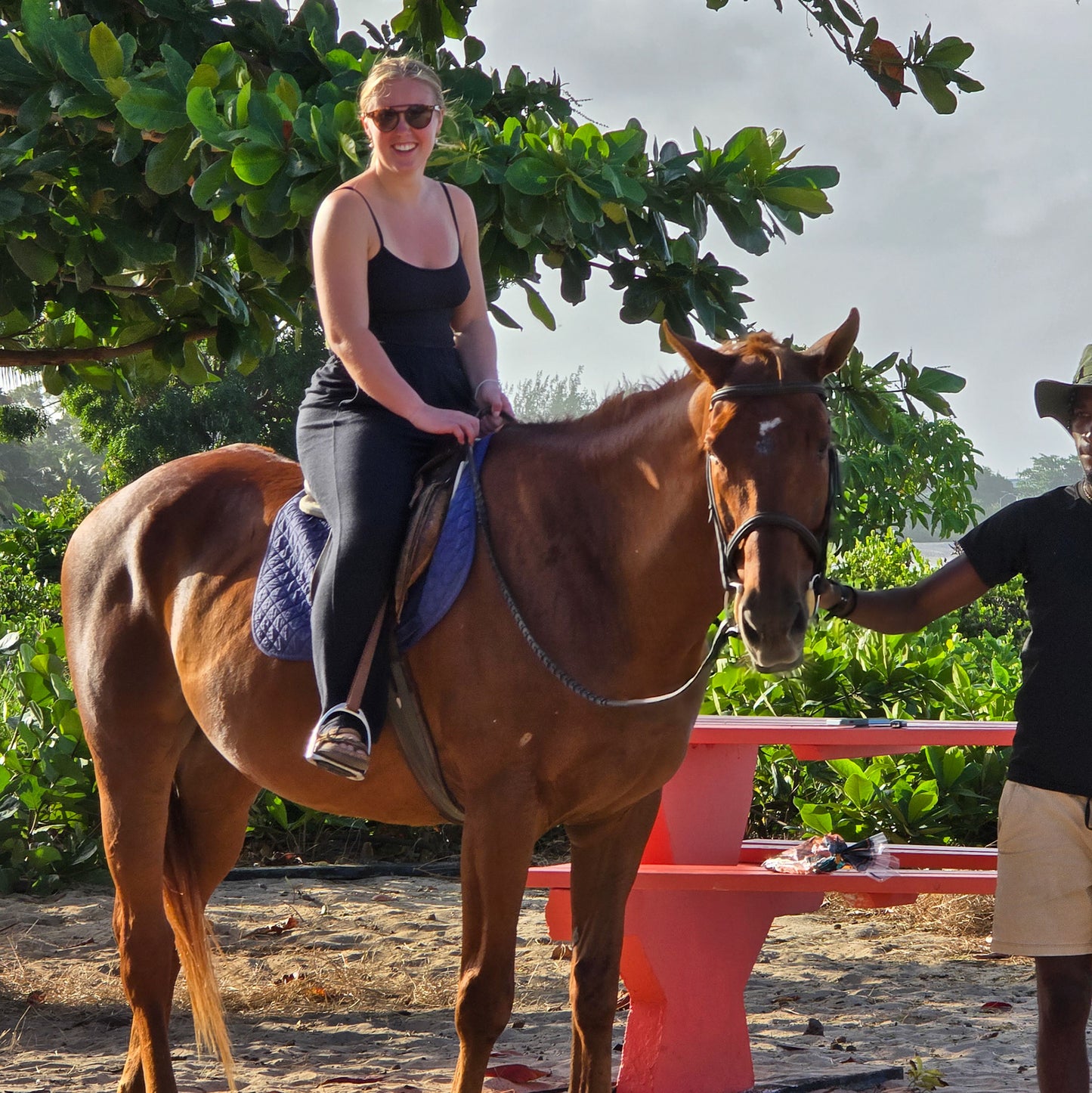 Brighton Beach, Barbados: 1.5-Hour Beach Ride & Swim with Horses