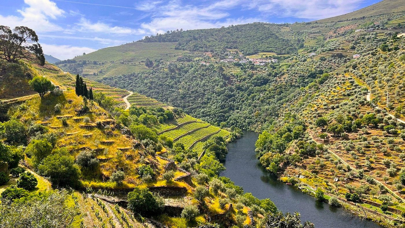 Luxury Private Experience in Douro Valley near Porto
