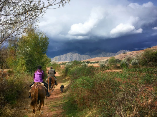 Sacred Valley: Full Day Ride to Manthanay Forest Reserve + Lunch (Advanced Riders)