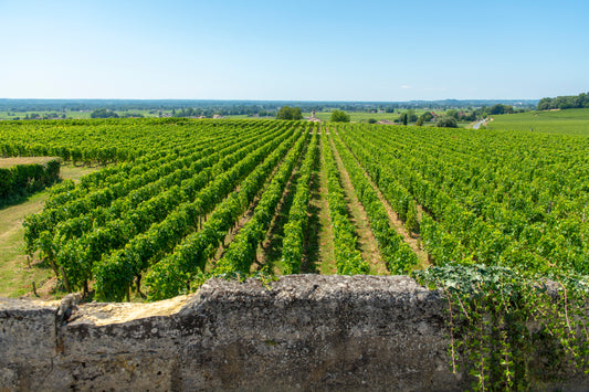 Self-Drive Wine & Cognac Adventure in Western France