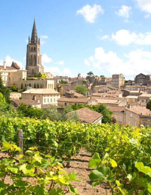 Saint-Emilion and Pomerol tour