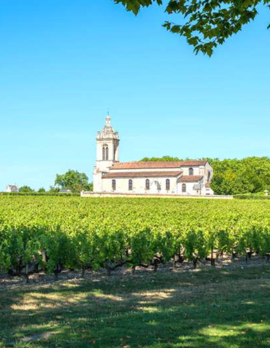 Three Bordeaux wine regions