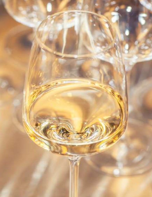 Red wines and prestigious wineries in Médoc