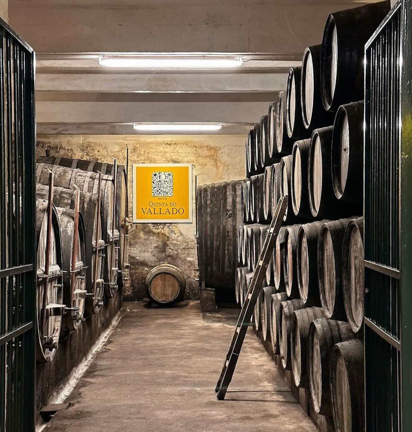 Visits & Tastings at Quinta do Vallado near Porto