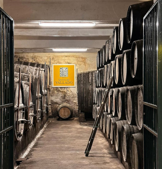 Visits & Tastings at Quinta do Vallado near Porto