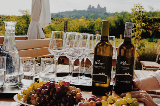 Scenic Wine Tour with Traditional Dinner in the Austrian Countryside