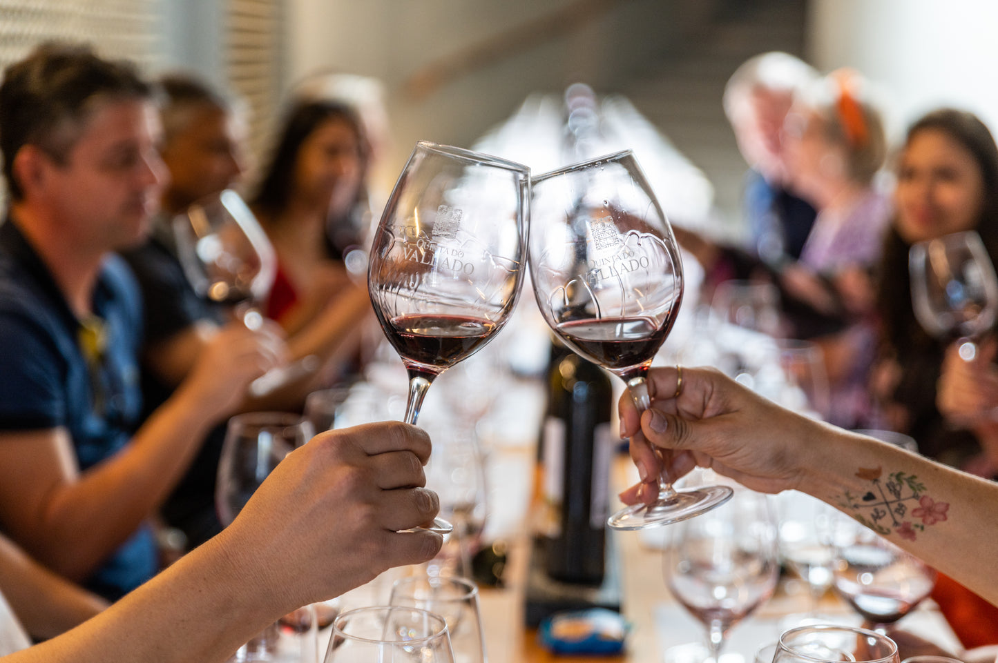 Visits & Tastings at Quinta do Vallado near Porto