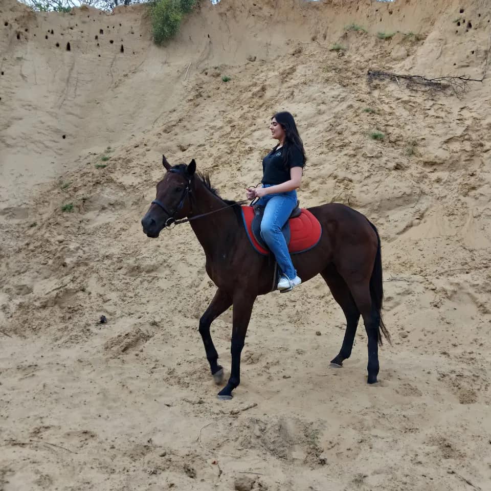 Gurugram: Fun Trail Horse Ride from 15 minutes - 1.5 hours