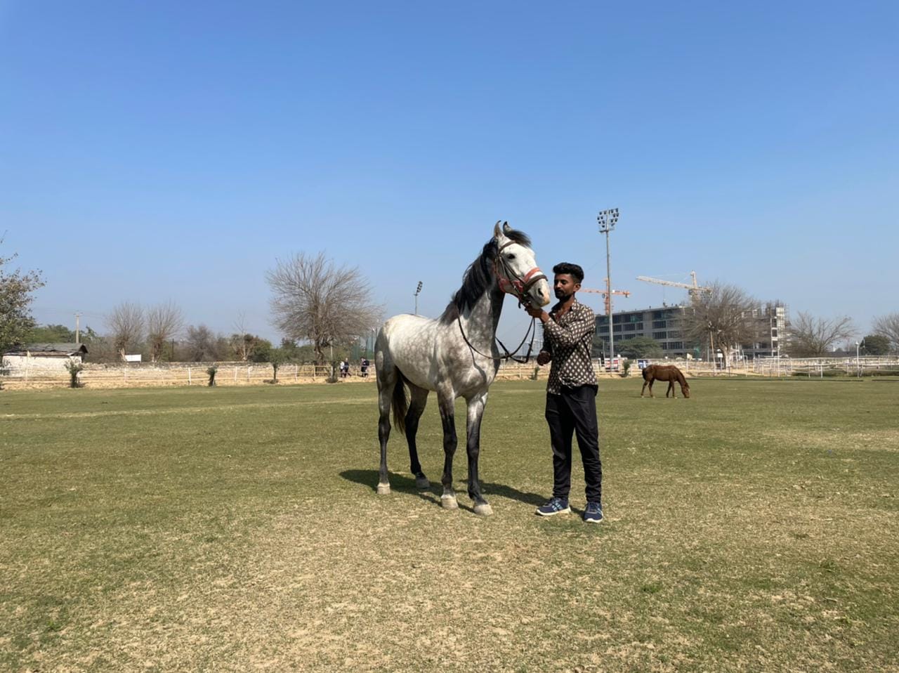 Gurugram: Fun Trail Horse Ride from 15 minutes - 1.5 hours