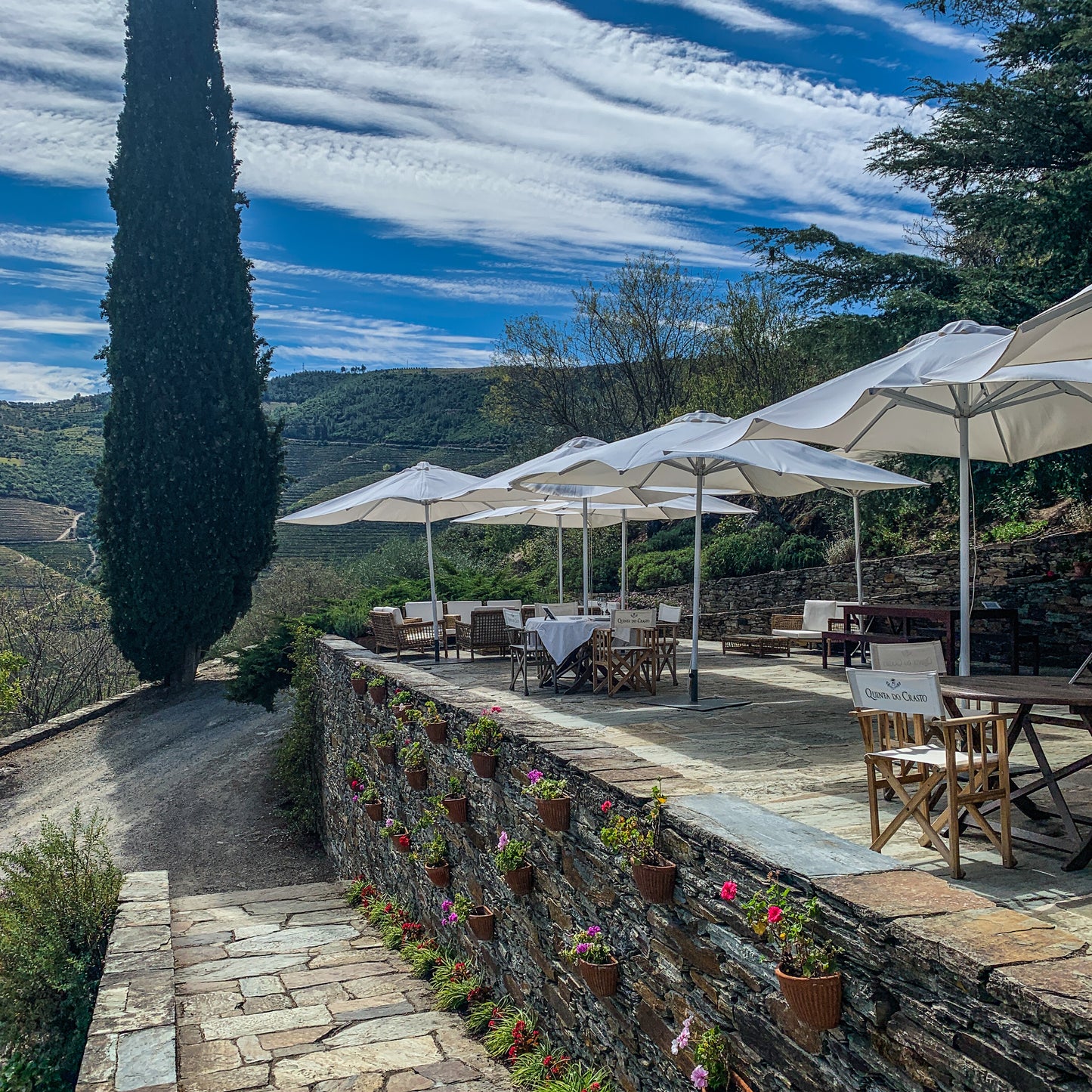 Quinta do Crasto Wine & Food Experience near Porto