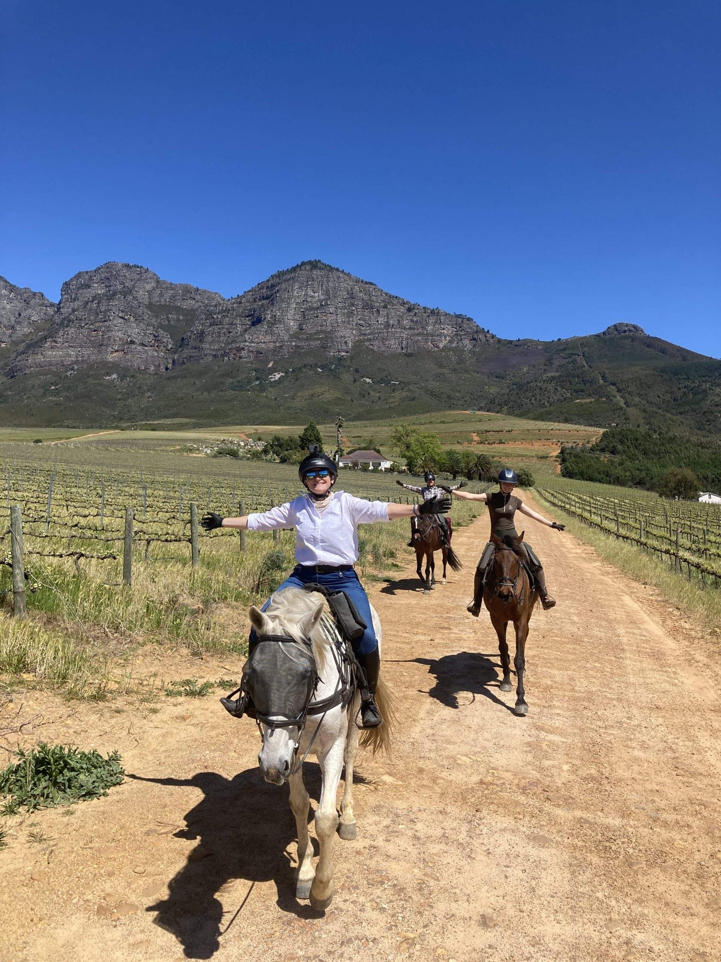 Horseback Day Rides in the Cape Winelands