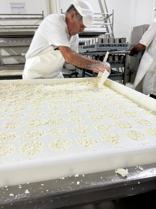 Private Cheese, Wine and Tile Painting Tour in Lisbon