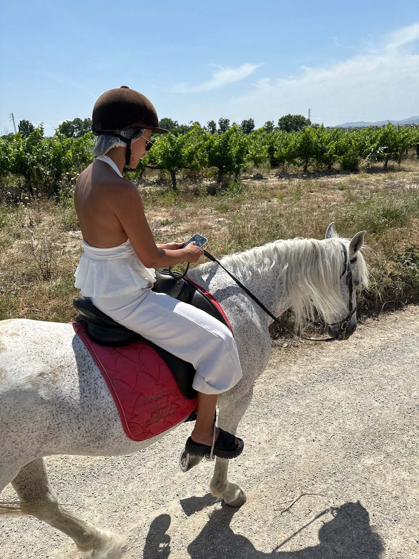 Alicante: Private Horseback Ride + Picnic + Pick up