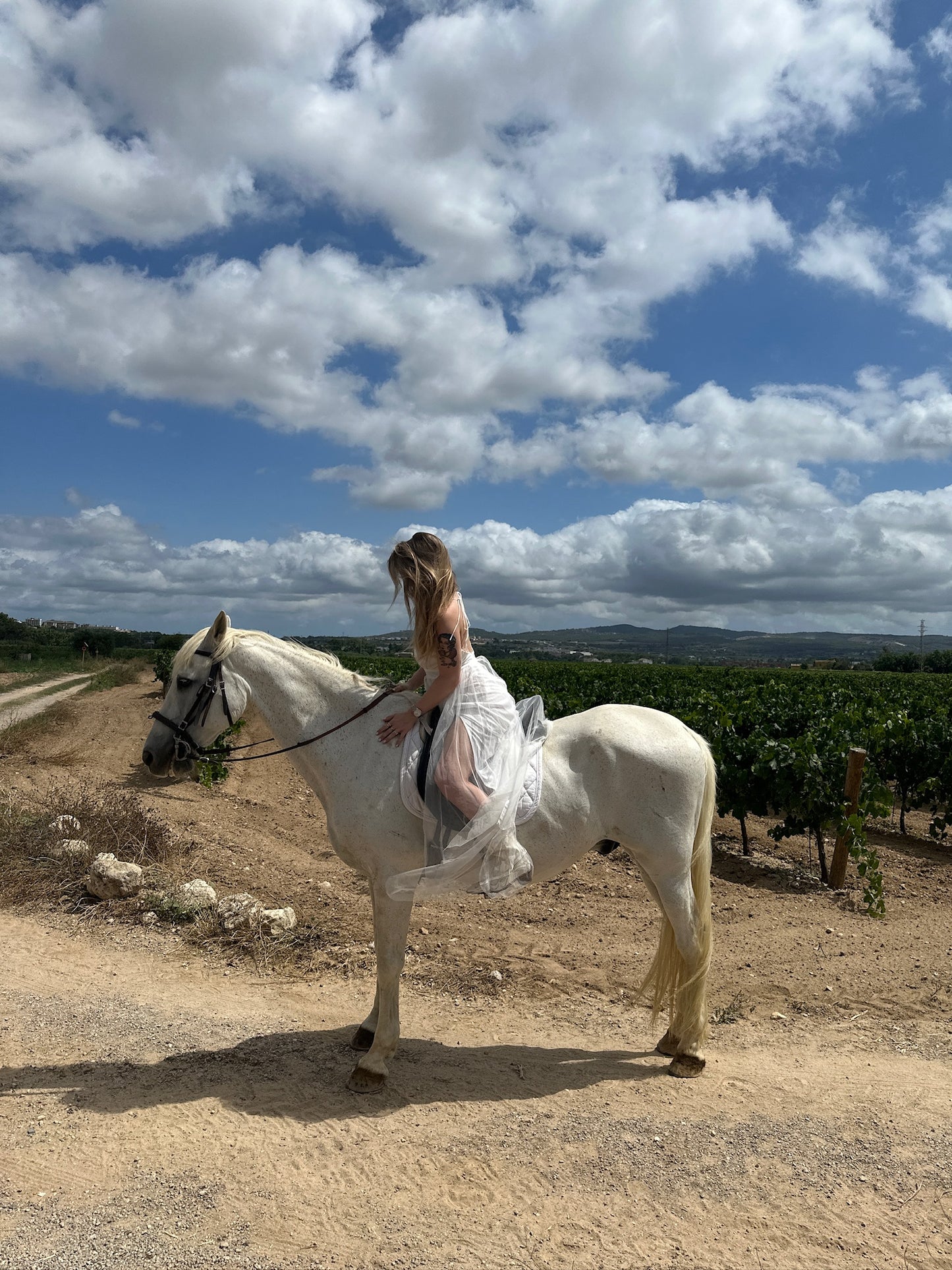 Alicante: Private Horseback Ride + Picnic + Pick up
