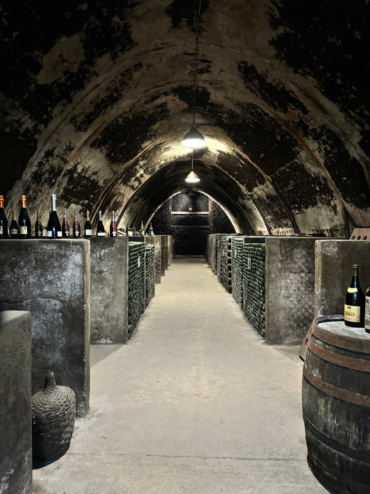 Hidden Gems of North Lisbon with Wine & Food Tasting