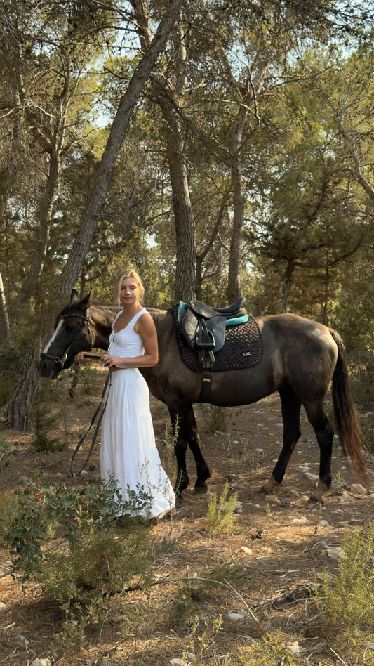 Fairlie, New Zealand: A Premium Backcountry Horse Trek