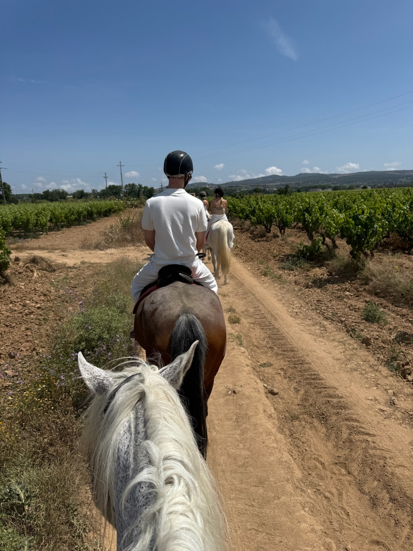 France: Elegant Equestrian Ride to Château de Chambord