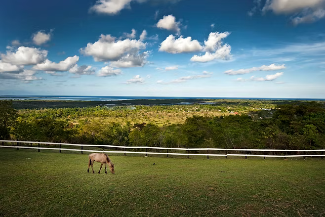 Palawan: Panoramic Trail Horseback Ride + Pick-up Available