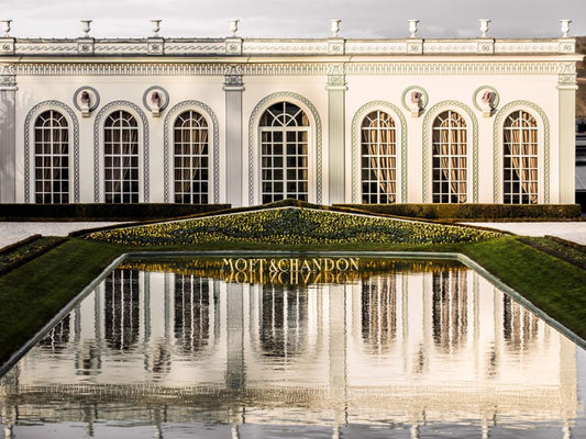 Private Champagne Wine Tour