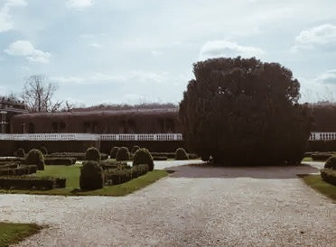 Imperial Schönbrunn Experience – Art, Gardens & Viennese Wine