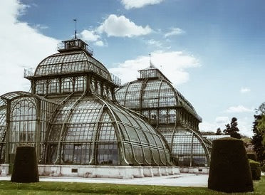 Imperial Schönbrunn Experience – Art, Gardens & Viennese Wine