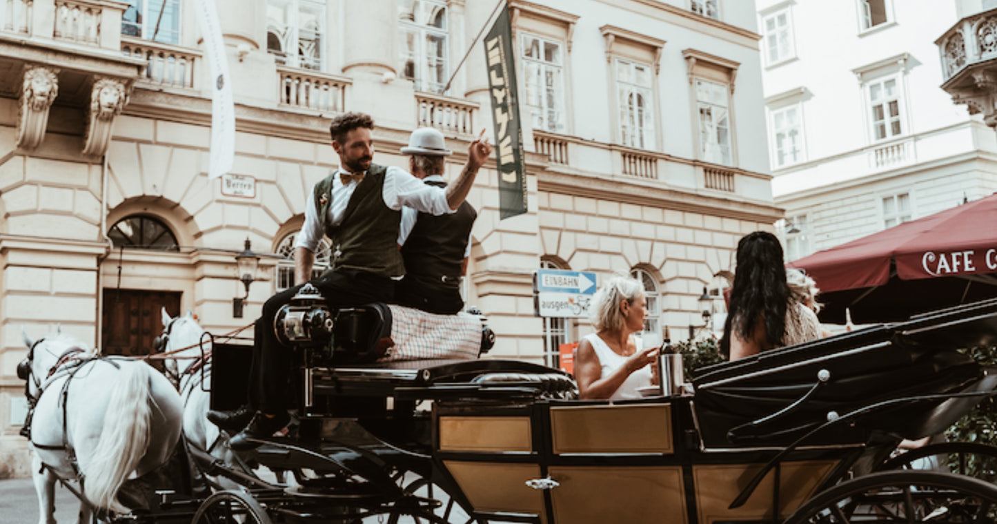 Vienna Horse Carriage Ride with Grüner Veltliner & Snacks
