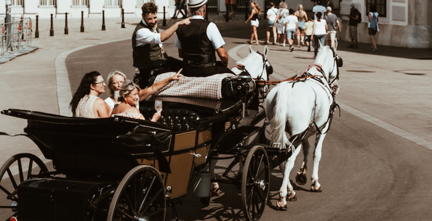 Vienna Horse Carriage Ride with Grüner Veltliner & Snacks