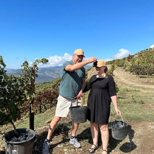 Wine Tasting and Vineyard Tour in Porto