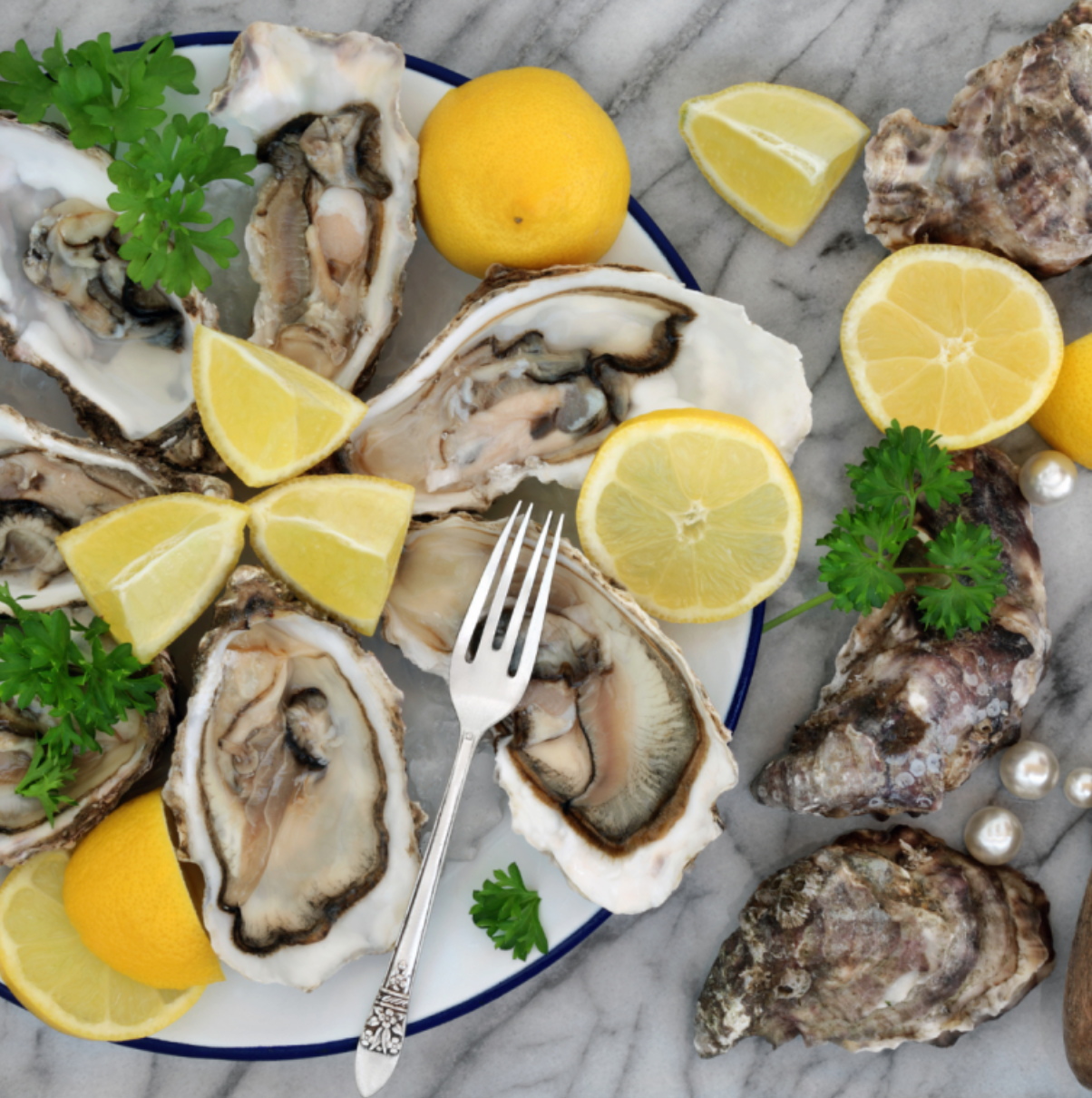 Lagos Oysters Tasting & Bubbles in Lagos