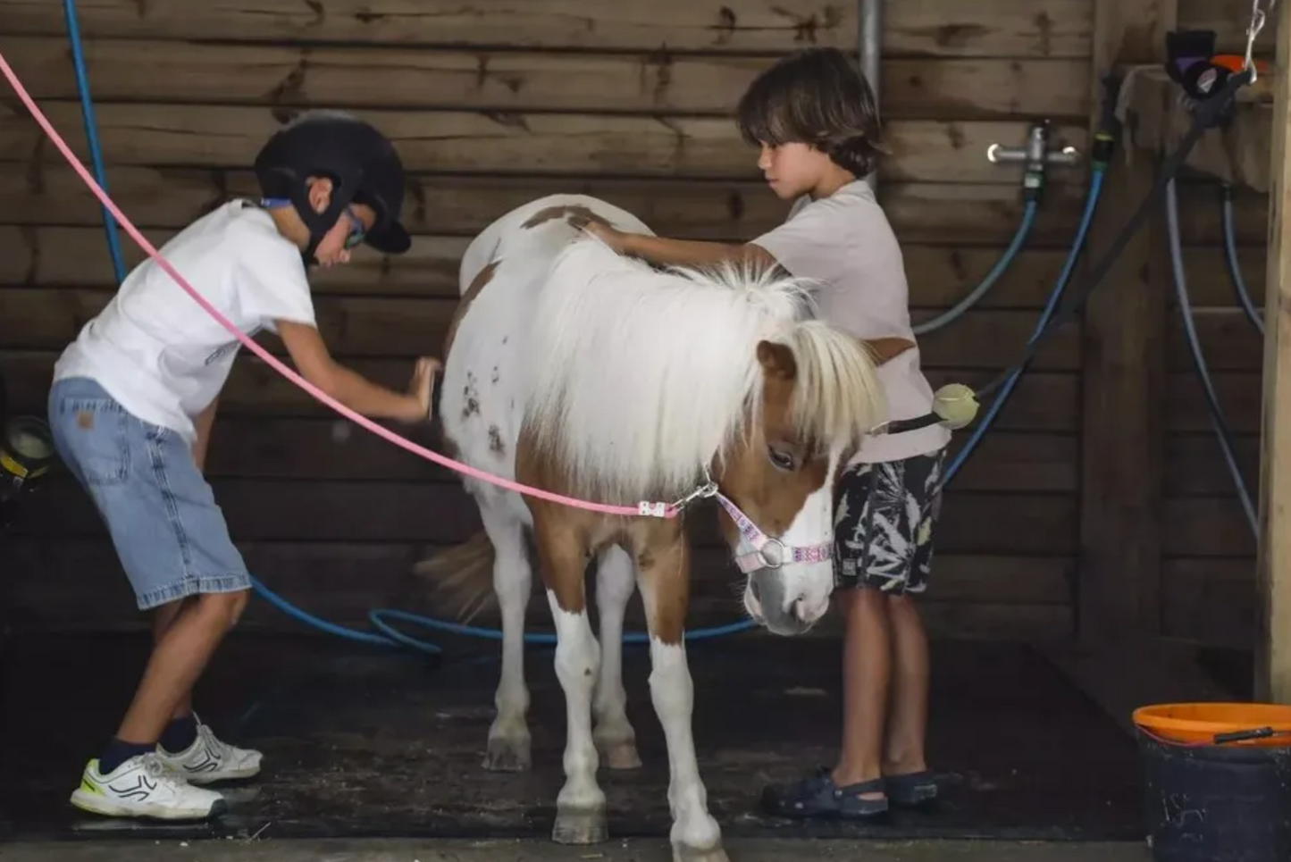 Ride a Pony and Visit their Farm in Lisbon