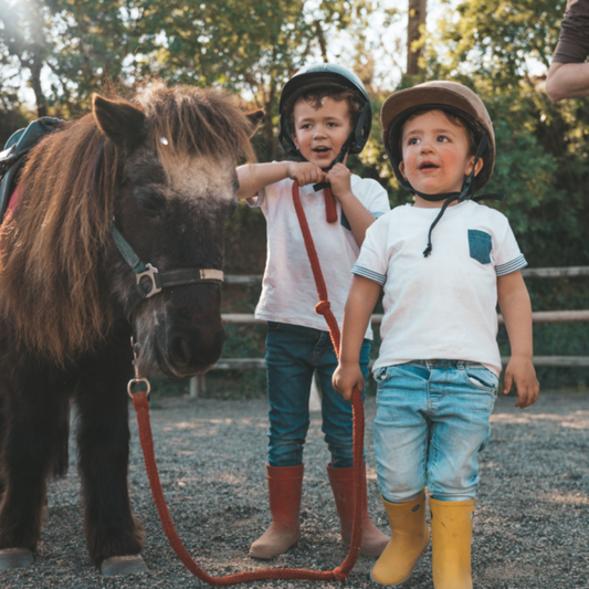 Ride a Pony and Visit their Farm in Lisbon