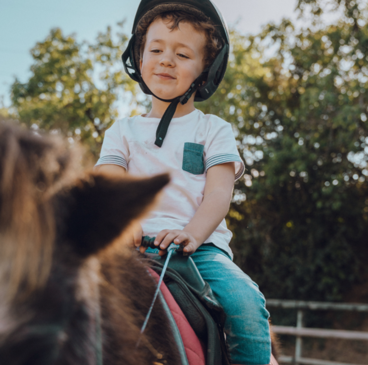 Ride a Pony and Visit their Farm in Lisbon