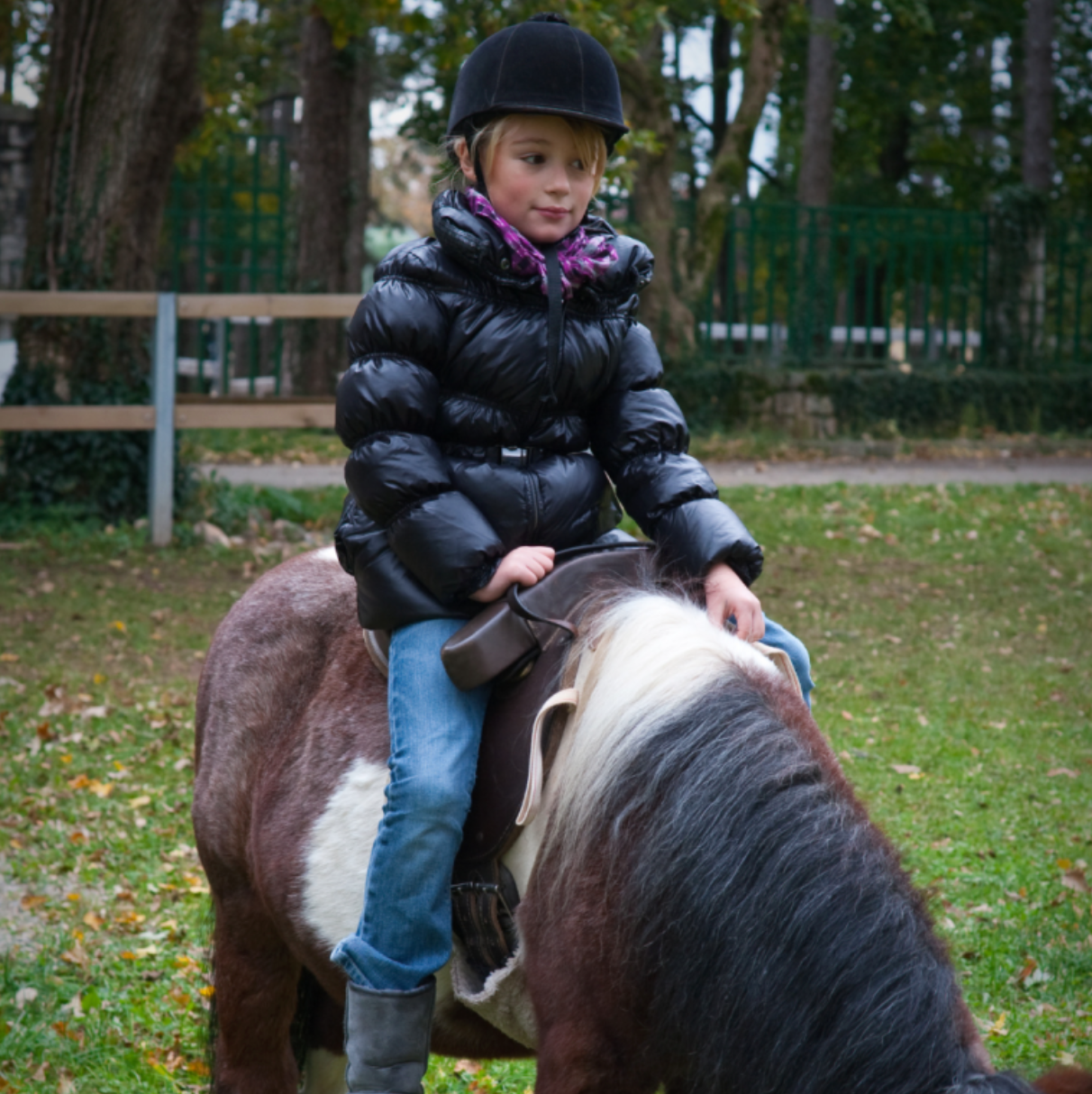 Ride a Pony and Visit their Farm in Lisbon