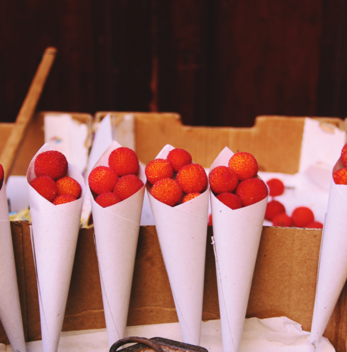 Visit Medronho farm and make a marmalade near Faro