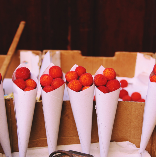 Visit Medronho farm and make a marmalade near Faro