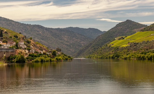 Cruise, Lunch and Wine Tastings in Douro Valley in Porto