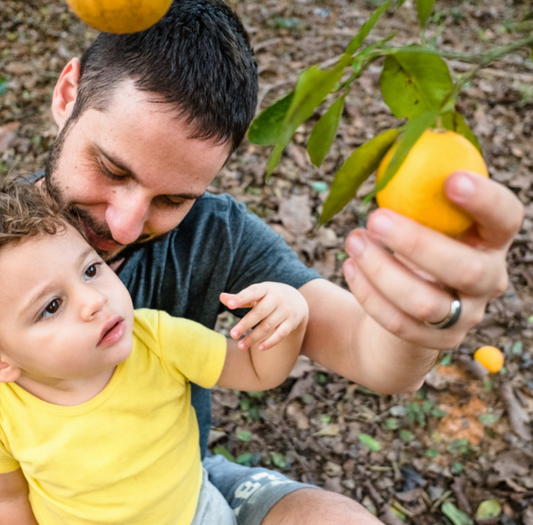 Visit an Orange Farm and have a Picnic near Faro