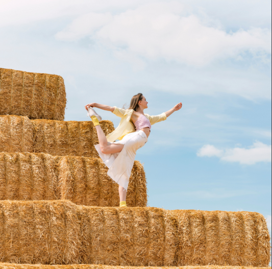 Hay Harvest Experience in Porto