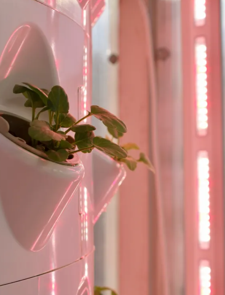 Vertical Farming Farm and Workshop in Lisbon