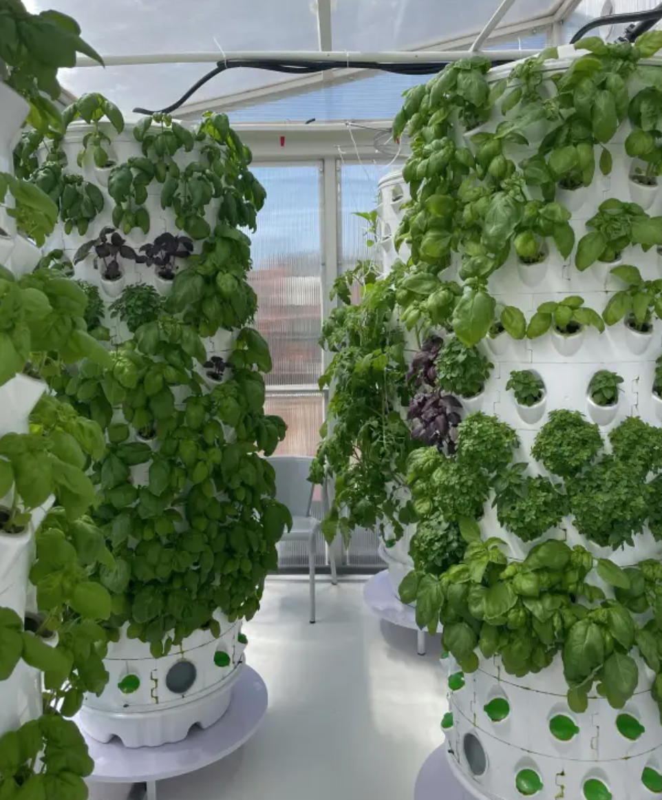 Vertical Farming Farm and Workshop in Lisbon