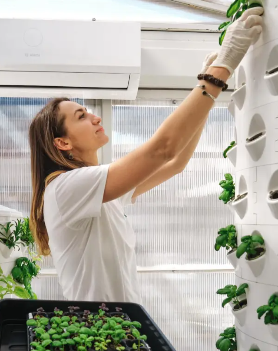 Vertical Farming Farm and Workshop in Lisbon
