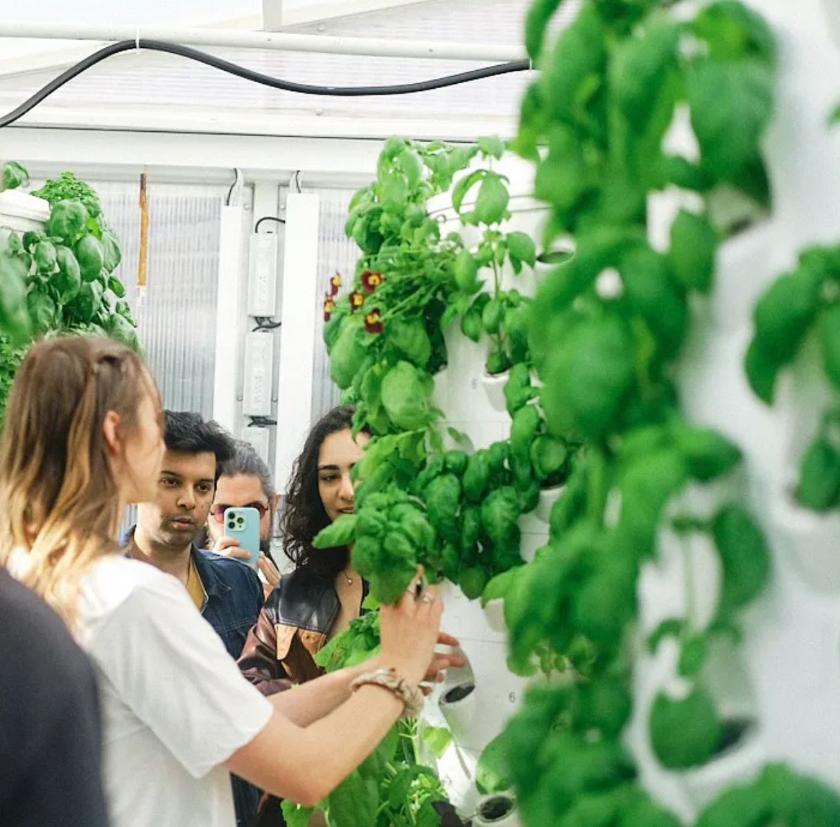 Vertical Farming Farm and Workshop in Lisbon